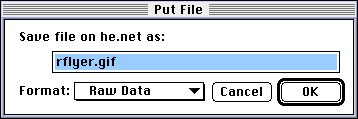 Fetch Put File Window, selecting the format
